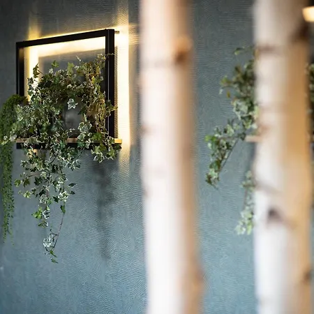 Hoeflehner Premium Gumpen האוס